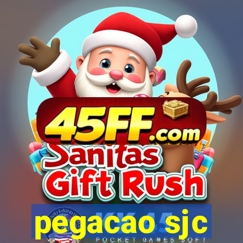 pegacao sjc